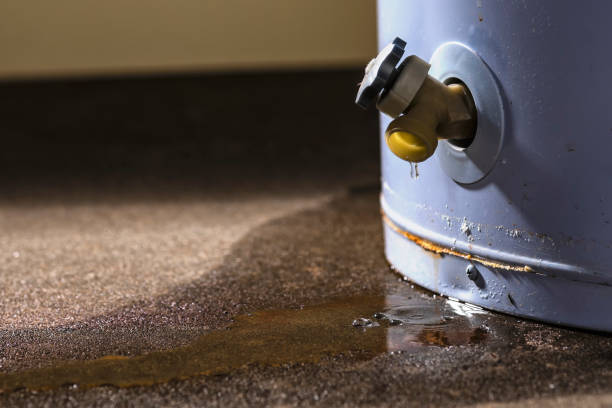 Best Residential water damage restoration  in Presidio, TX