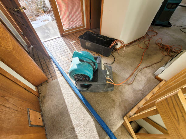 Best Fire Damage Restoration  in Presidio, TX
