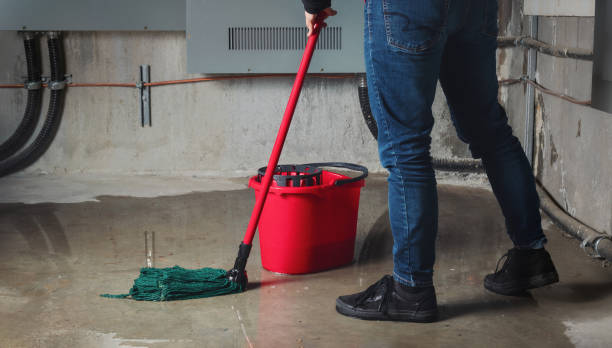 Best Professional water damage repair  in Presidio, TX